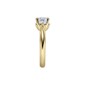 Verlobungsringe/RU-1585/20/verlobungsringe-gelbgold